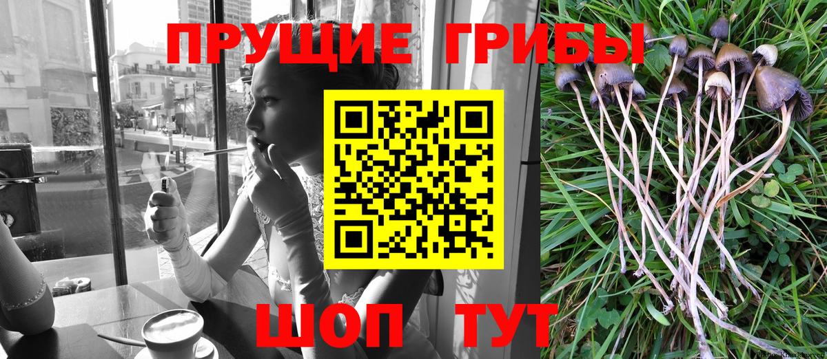Людиново  Галлюциногенные грибы мухоморы  Вход с VPN 