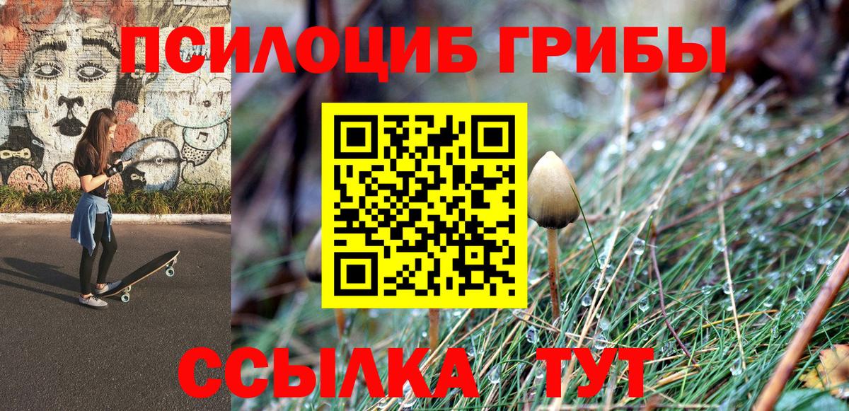 Псилоцибиновые грибы ЛСД Людиново